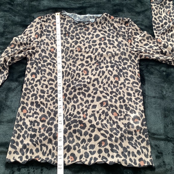 Zara, size Small, leopard print, long sleeves, sheer, form-fitting - Picture 6 of 6